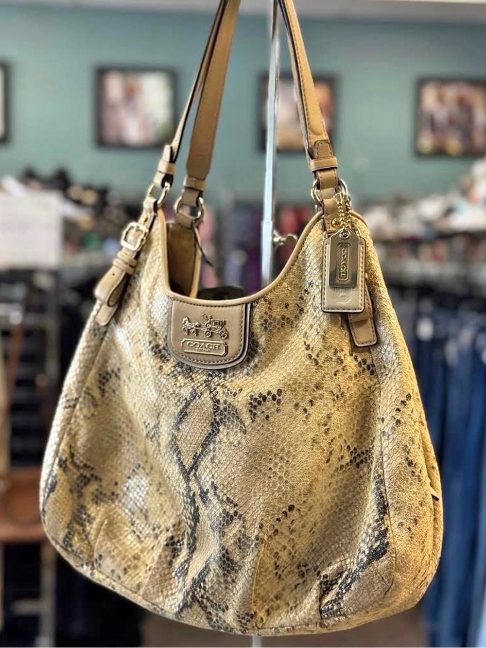 Coach Snake-Print Hobo Bag in Tan and Black